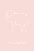 Load image into Gallery viewer, 40 EVENTS OF SCRIPTURE CARD DECK